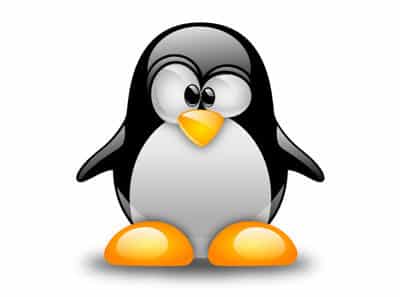 The 10 most useful Linux commands