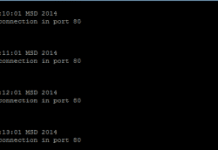 Log the Total Number of Connections to a Port From an IP Address